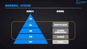 藍(lán)象資本聯(lián)合芥末堆成立藍(lán)象愿景基金，聚焦A輪實(shí)業(yè)投資